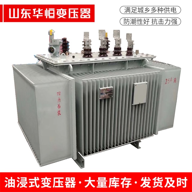 S13-10000/35攀枝花攀枝花攀枝花电力变压器厂家